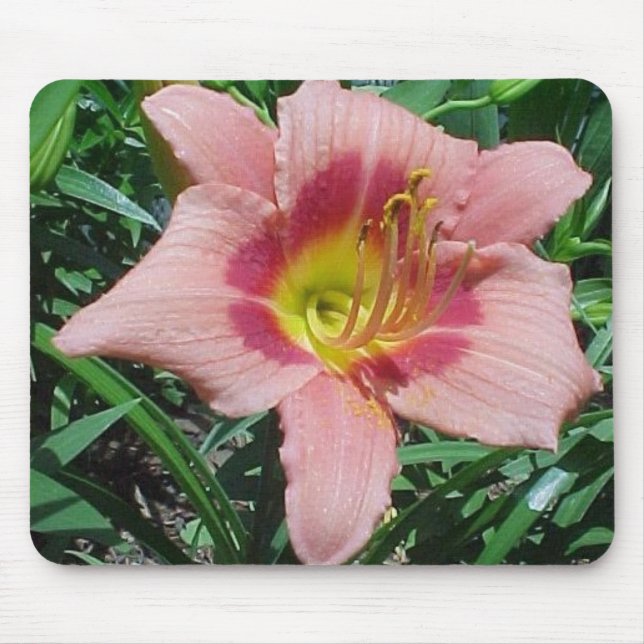Alfombrilla De Ratón Daylily del choque de la cereza (Frente)