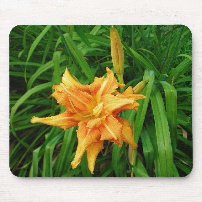 Alfombrilla De Ratón Daylily mousepad (Frente)