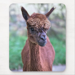 Alfombrilla de ratón de alpaca marrón