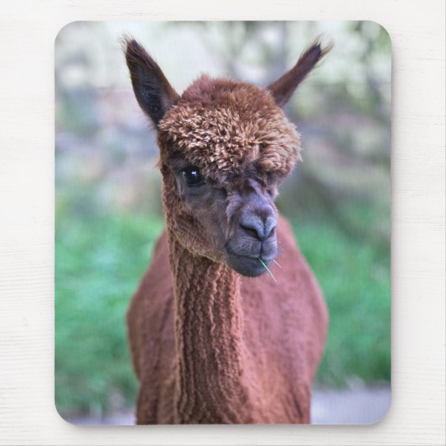 Alfombrilla de ratón de alpaca marrón (Frente)