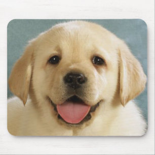 Alfombrilla de ratón de amor de cachorro de Labrad