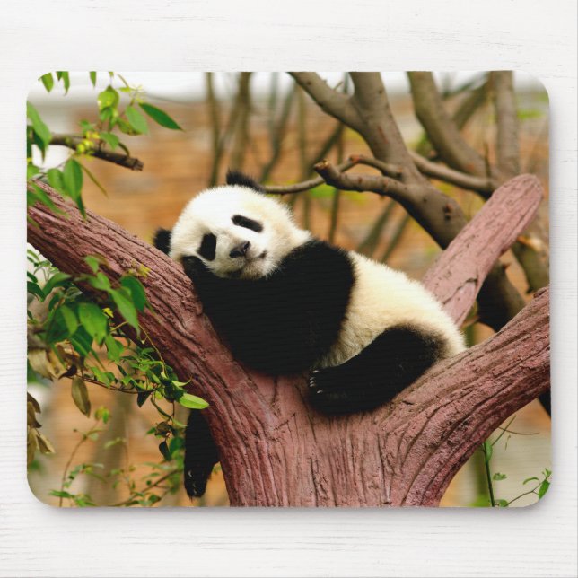 Alfombrilla de ratón de bebé panda durmiendo (Frente)