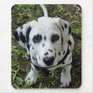 Alfombrilla de ratón de cachorro dálmata