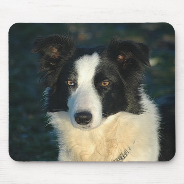 Alfombrilla de ratón de cachorro de Border Collie  (Frente)