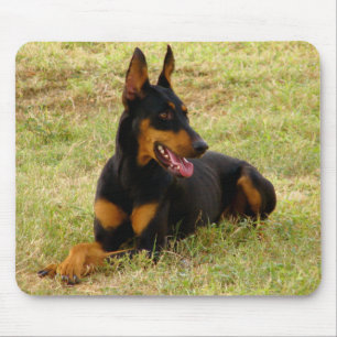 Alfombrilla de ratón de cachorro de Doberman Pinsc