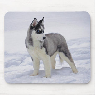 Alfombrilla de ratón de cachorro de Husky Siberian