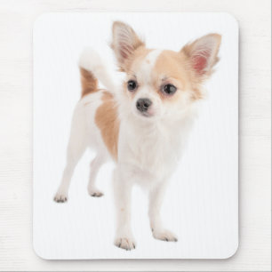 Alfombrilla de ratón de cachorro de perro Chihuahu