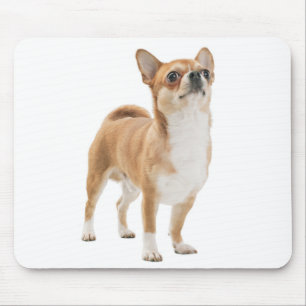 Alfombrilla de ratón de cachorro de perro Chihuahu