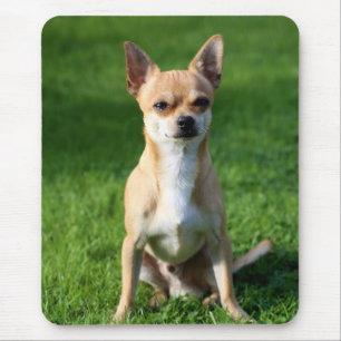 Alfombrilla de ratón de cachorro de perro Chihuahu