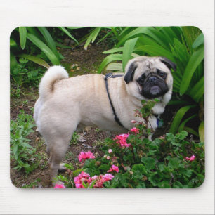 Alfombrilla De Ratón De Cachorro De Pug Adorable E