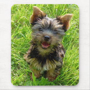 Alfombrilla de ratón de cachorro de Yorkshire Terr