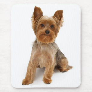 Alfombrilla de ratón de cachorro de Yorkshire Terr