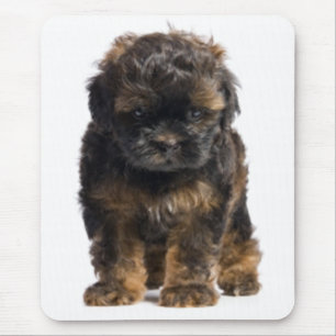 Alfombrilla de ratón de cachorro Havanese adorable
