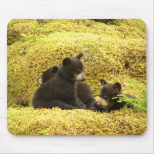 Alfombrilla de ratón de cachorros de oso negro