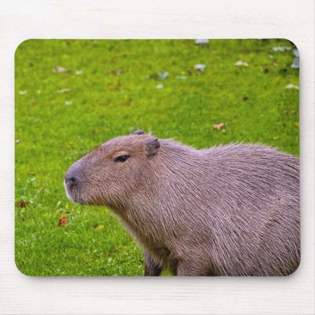 Alfombrilla de ratón de carpincho (Frente)