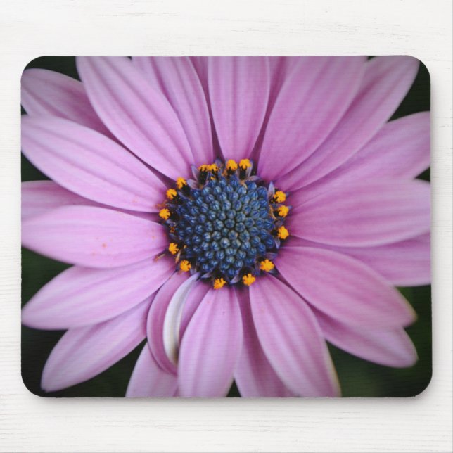 Alfombrilla de ratón de flor de margarita morada (Frente)