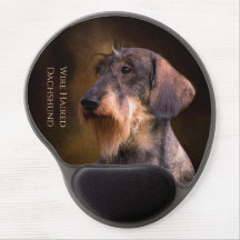 Alambre Haired Dachshund