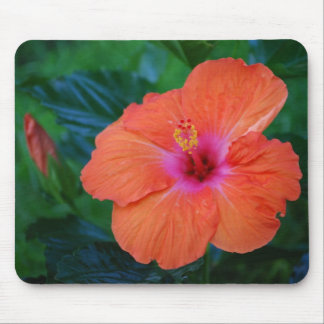 Alfombrilla De Ratón De "hibisco suceso" Mousepad