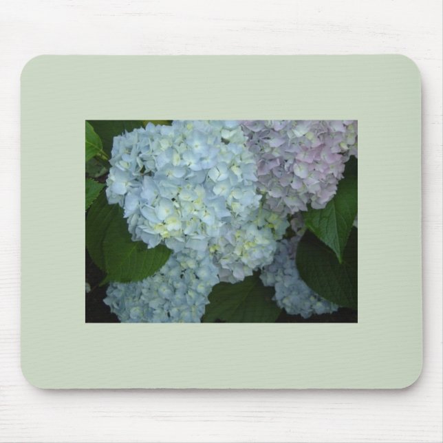 Alfombrilla de ratón de hortensias florecidas (Frente)
