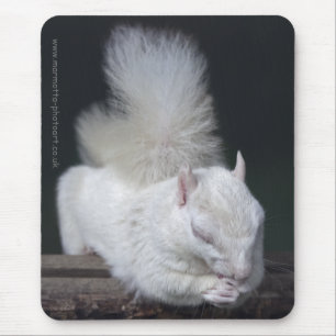 Alfombrilla de ratón de la oración de Nutty