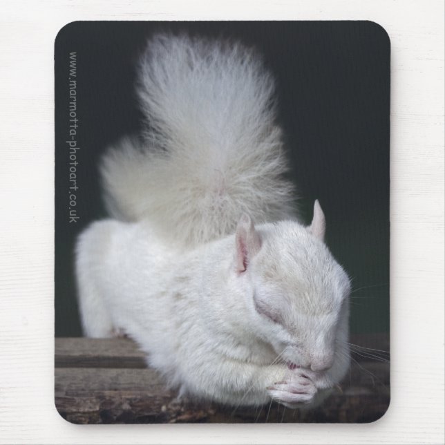 Alfombrilla de ratón de la oración de Nutty (Frente)