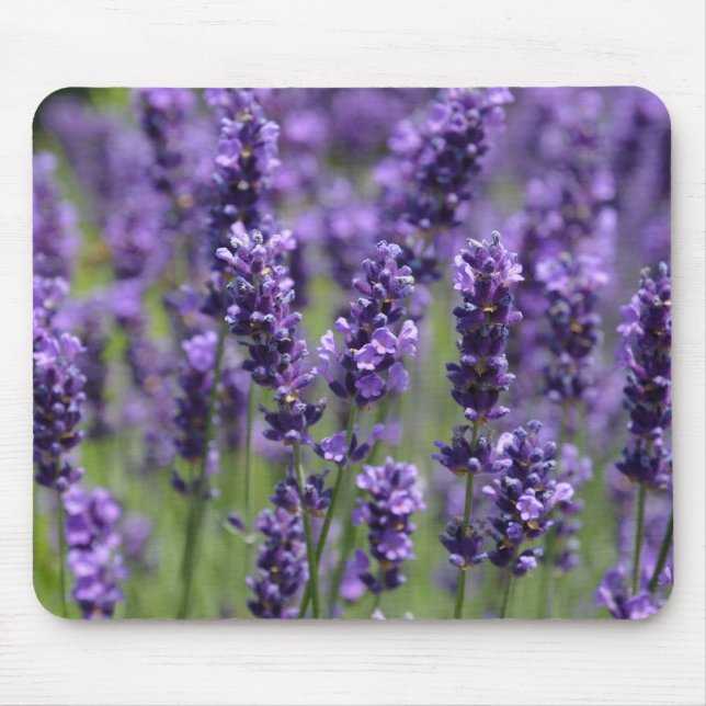 alfombrilla de ratón de lavanda (Frente)