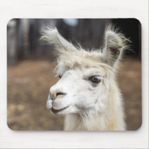 Alfombrilla de ratón de Llama Blanca Linda