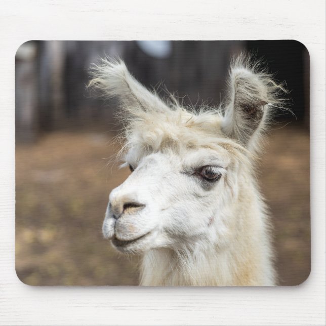 Alfombrilla de ratón de Llama Blanca Linda (Frente)