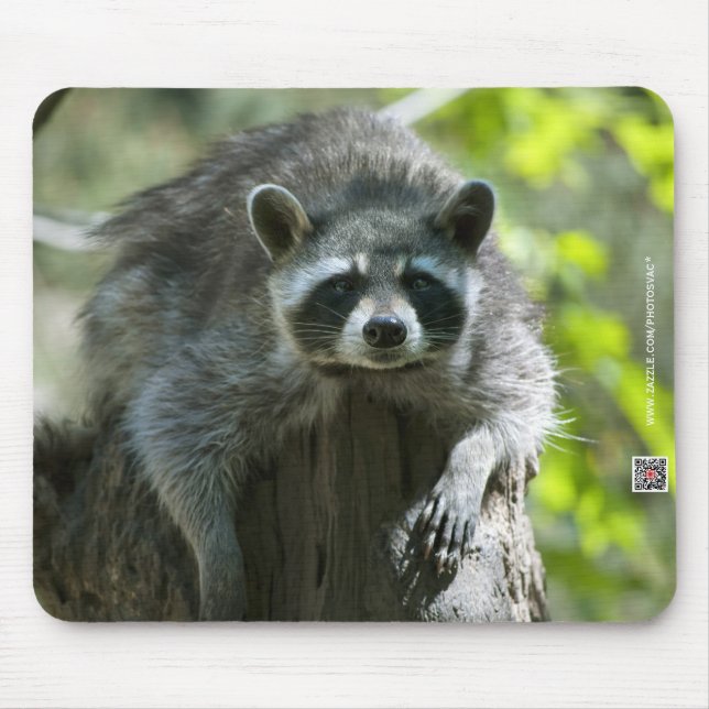 Alfombrilla de ratón de mapache (Frente)