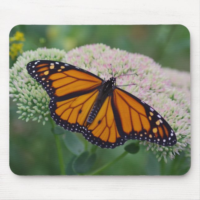 Alfombrilla de ratón de mariposa monarca (Frente)