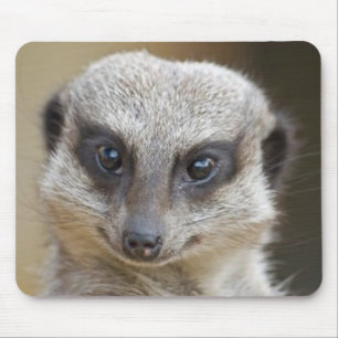 Alfombrilla De Ratón De Meerkat cierre para arriba