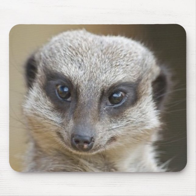 Alfombrilla De Ratón De Meerkat cierre para arriba (Frente)