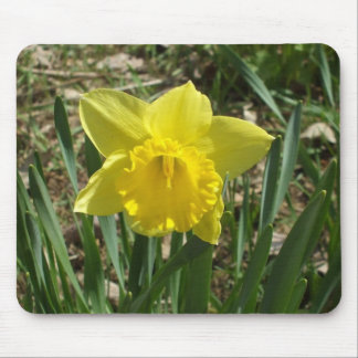 Alfombrilla de ratón de narciso amarillo brillante