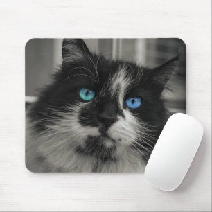 Alfombrilla de ratón de ojos azules gato negro Azu