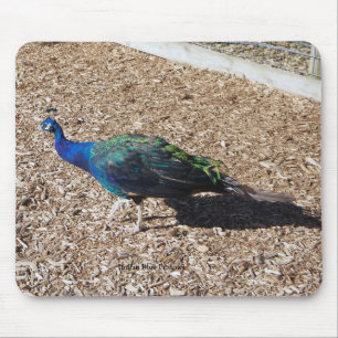 Alfombrilla de ratón de Pavo real azul indio