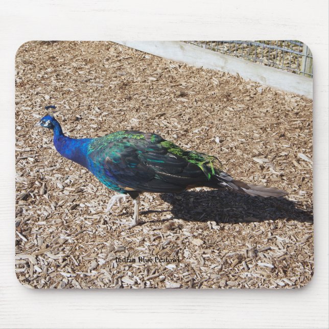 Alfombrilla de ratón de Pavo real azul indio (Frente)