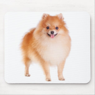Alfombrilla de ratón de perro cachorro Pomerania P