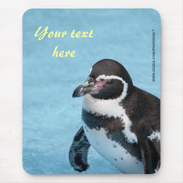 Alfombrilla de ratón de pingüino de Magallanes (Frente)
