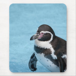 Alfombrilla de ratón de pingüino de Magallanes