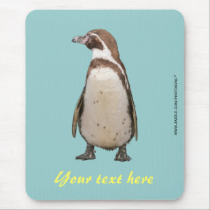 Alfombrilla de ratón de pingüino de Magallanes