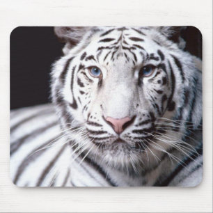 Alfombrilla de ratón de Tigre de Bengala Blanco