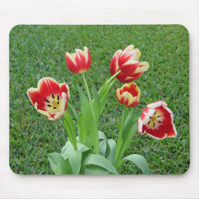 Alfombrilla de ratón de tulipán (Frente)