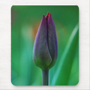 Alfombrilla de ratón de tulipán púrpura en flor fr