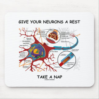 Alfombrilla De Ratón Dé Un Respiro A Sus Neuronas Tome Una Sinapsis De 