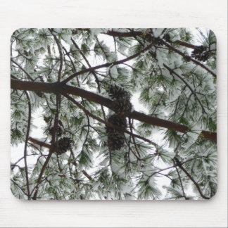 Alfombrilla De Ratón Debajo de la foto del invierno de un pino cubierto