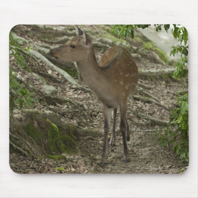 Alfombrilla De Ratón Deer (Frente)