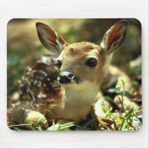 Alfombrilla De Ratón Deer Fawn