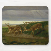 Deer on the Prairie (by William Holbrook Beard)