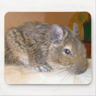 Alfombrilla De Ratón Degu relajante Mousepad