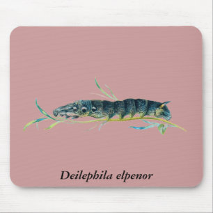 Alfombrilla De Ratón Deilephila elpenor caterpillar